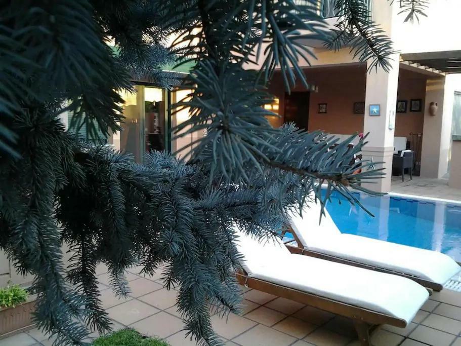 4-Seasons Pool Villa Near Meteora Trikala  Bagian luar foto