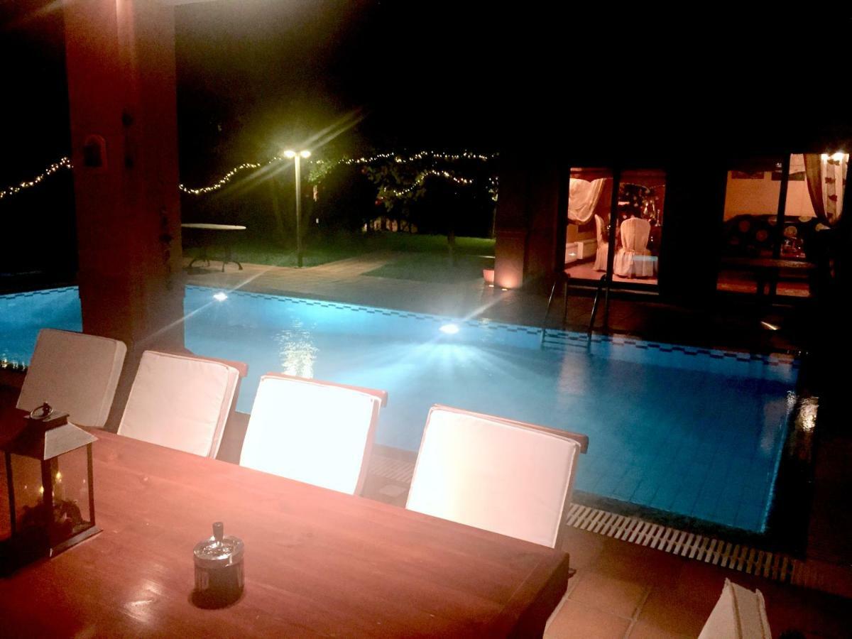 4-Seasons Pool Villa Near Meteora Trikala  Bagian luar foto