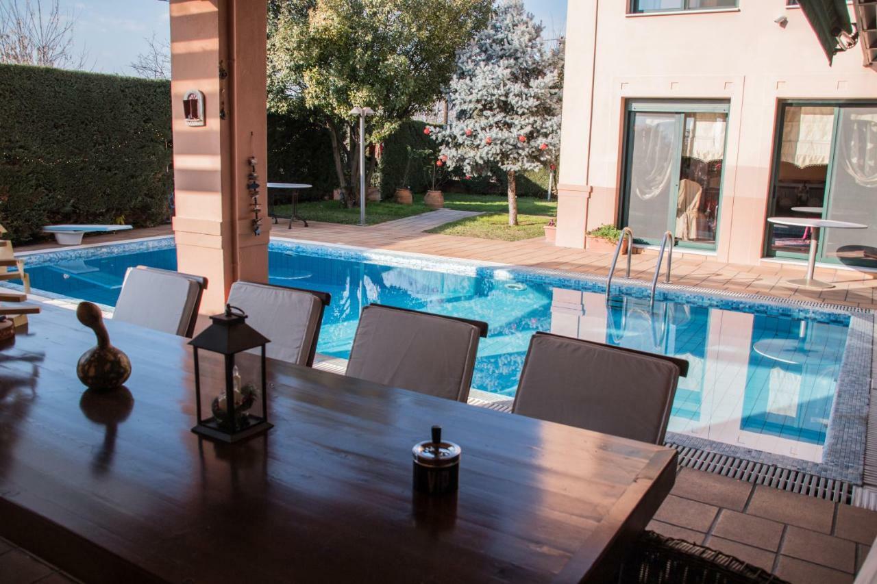 4-Seasons Pool Villa Near Meteora Trikala  Bagian luar foto