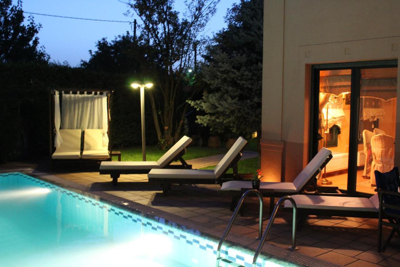4-Seasons Pool Villa Near Meteora Trikala  Bagian luar foto